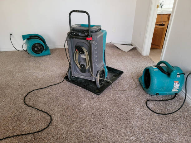  Brookville, NY Water damage restoration Pros