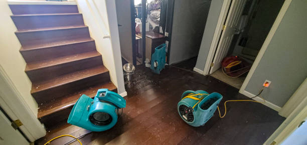 Best Carpet water damage restoration  in Brookville, NY