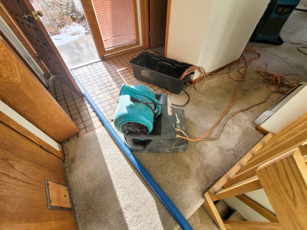 Best Basement water damage restoration  in Brookville, NY