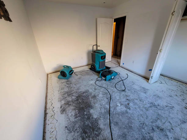 Best Carpet water damage restoration  in Brookville, NY