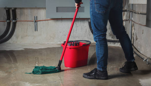 Best Sewage cleanup and water damage restoration  in Brookville, NY