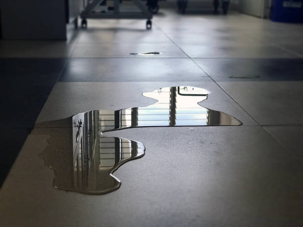 Best 24/7 water damage repair  in Brookville, NY