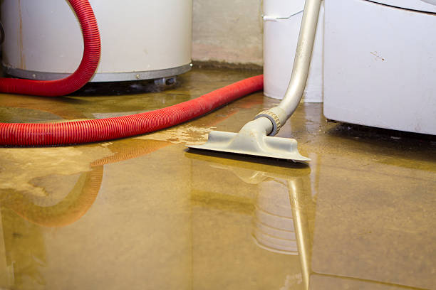 Best Water damage restoration near me  in Brookville, NY