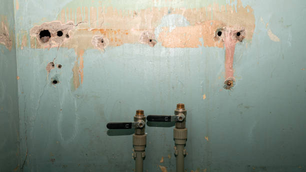 Best Mold removal after water damage  in Brookville, NY